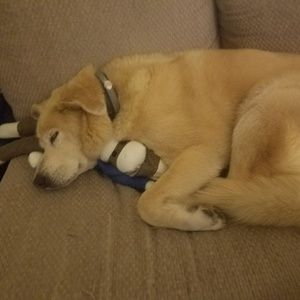 Meet your Posher, Derek